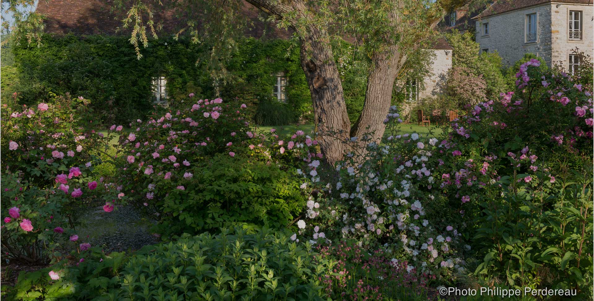 Bienvenue dans les Jardins de Berville