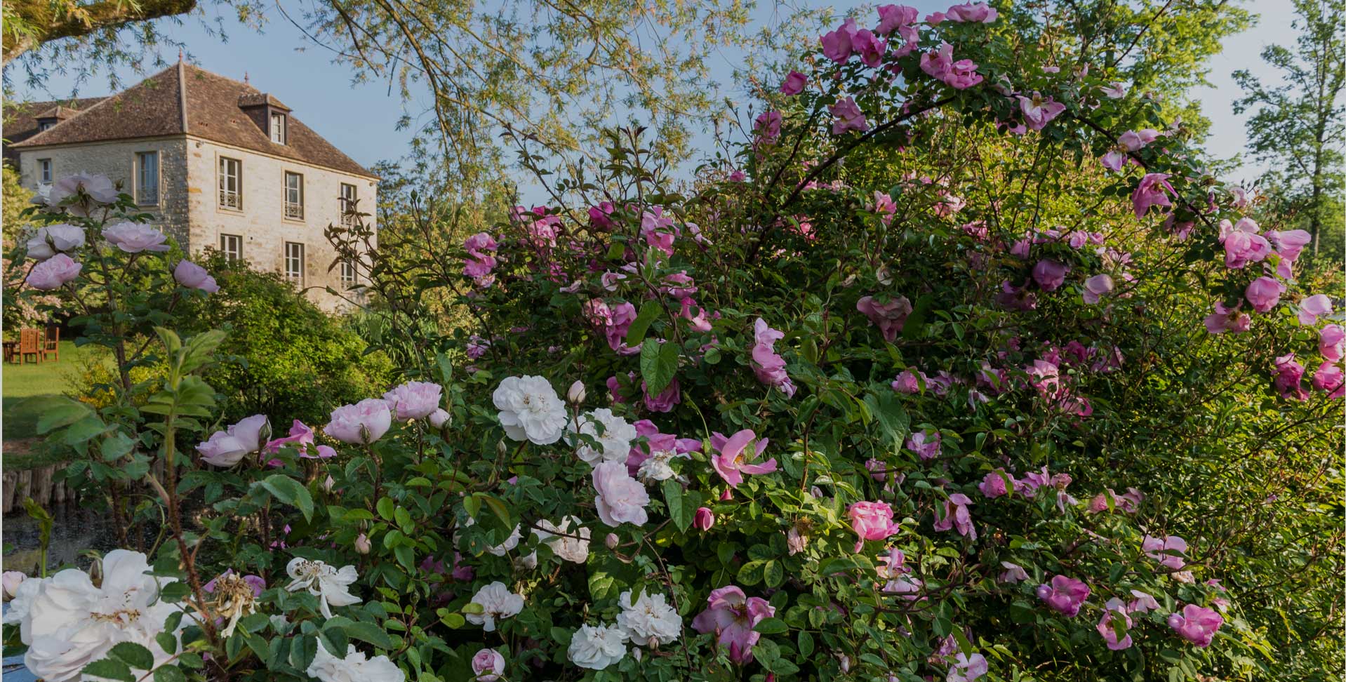 Prix Bonpland 2016 et Prix du Jardinier 2015