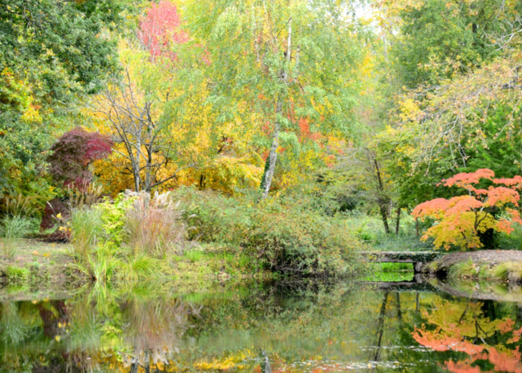 automne-jardins-berville-2015